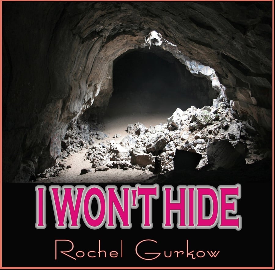 I Won't Hide Cover Art