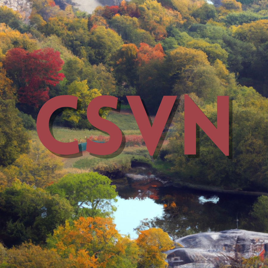 CSVN Cover Art