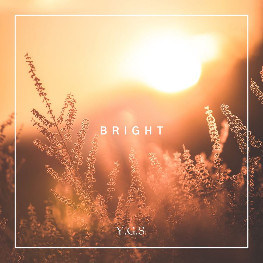 Bright Cover Art