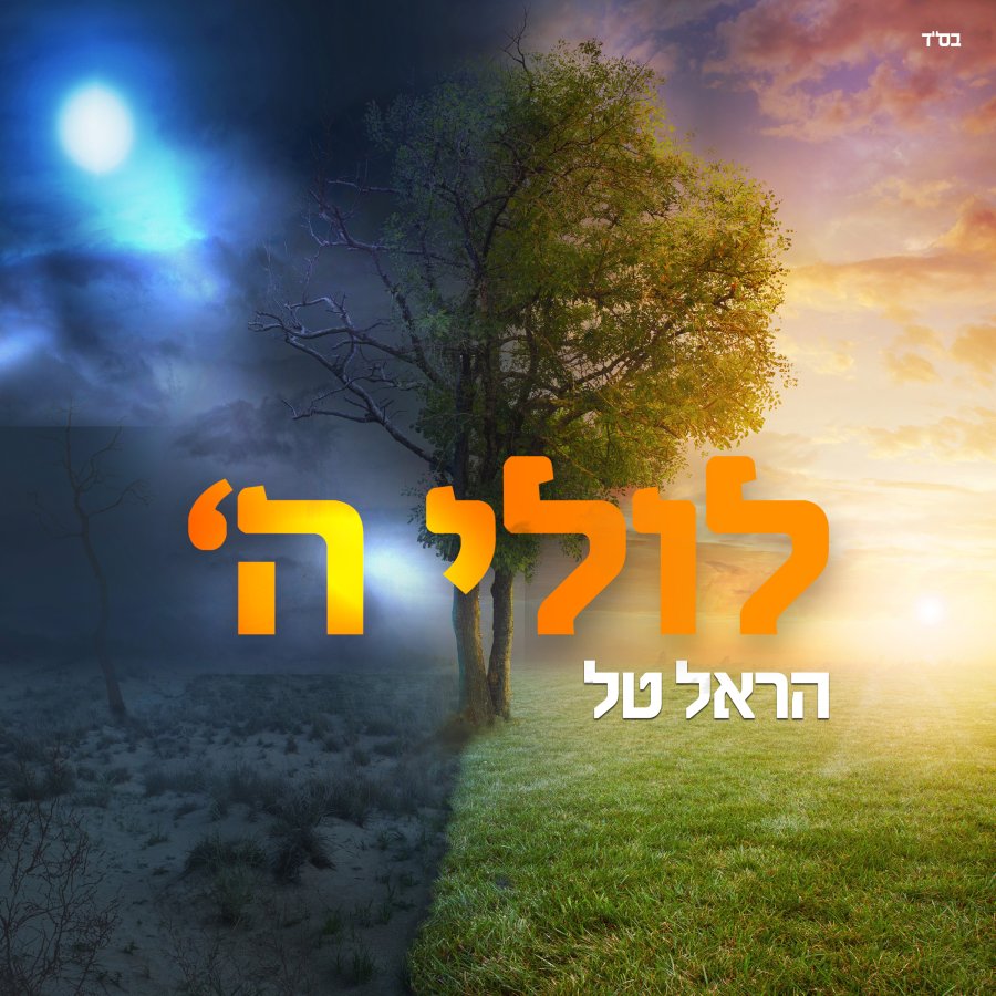 Lulei Hashem - לולי השם Cover Art