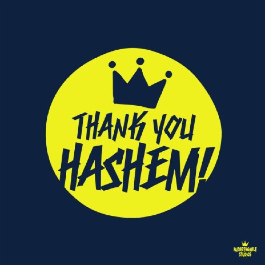 Thank You Hashem feat. Moshe Storch Cover Art
