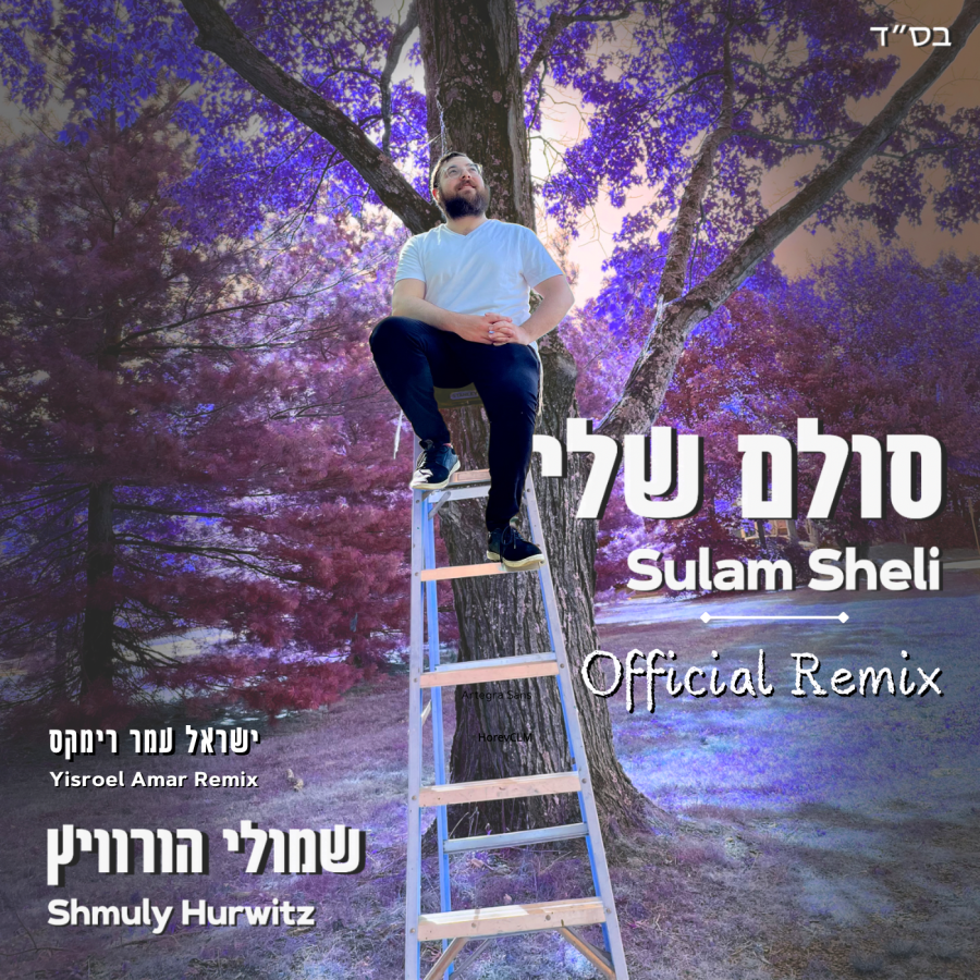 Sulam Sheli Official Remix Cover Art