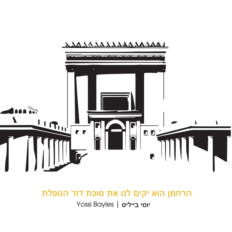 Sukkas Dovid Cover Art