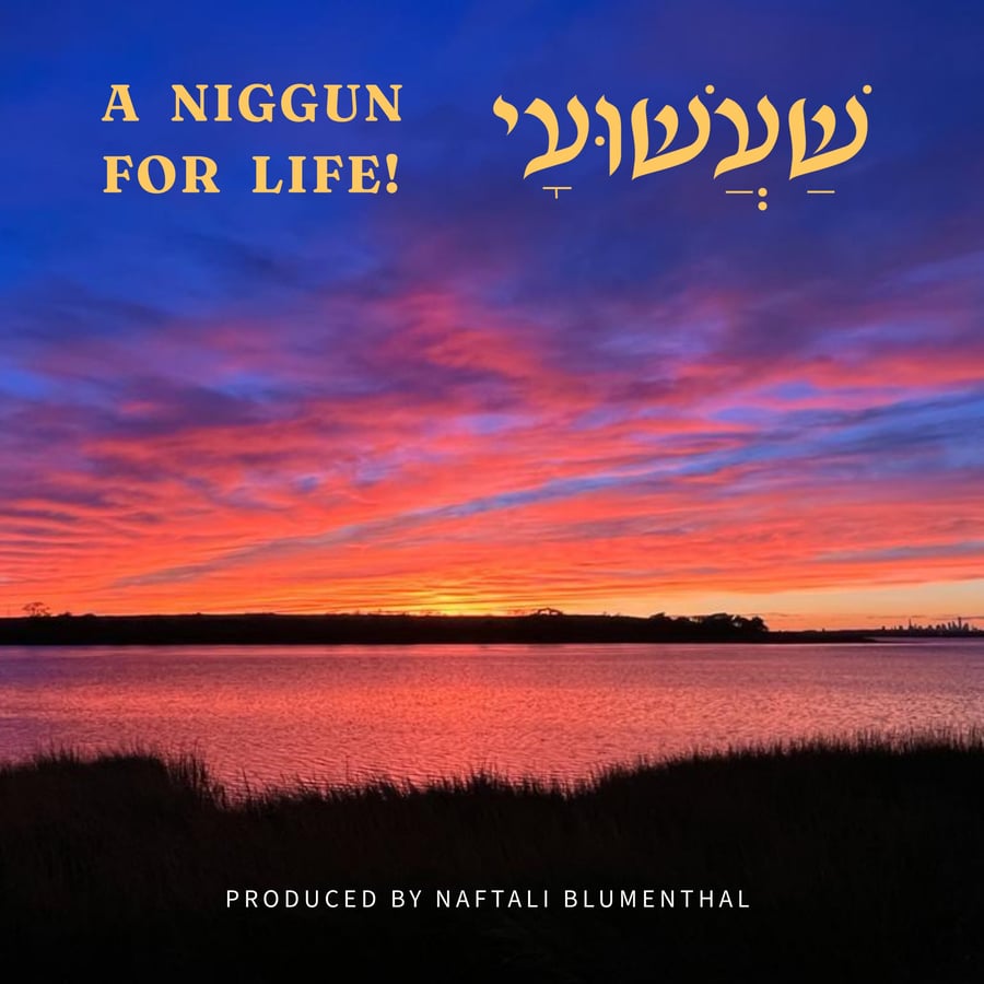 Shaashuai - שעשועי Cover Art