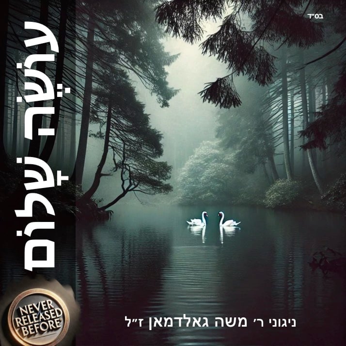 Oiseh Shalom Cover Art