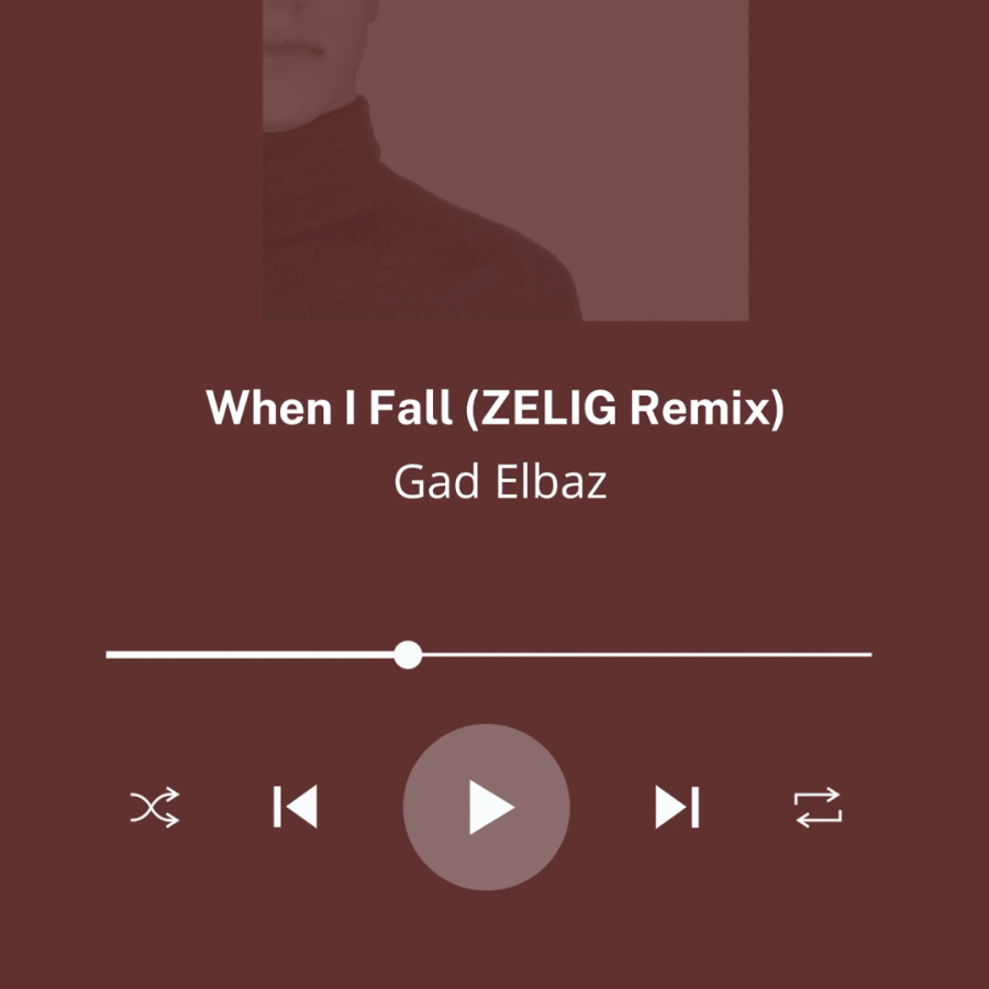 When I Fall (ZELIG Remix) Cover Art