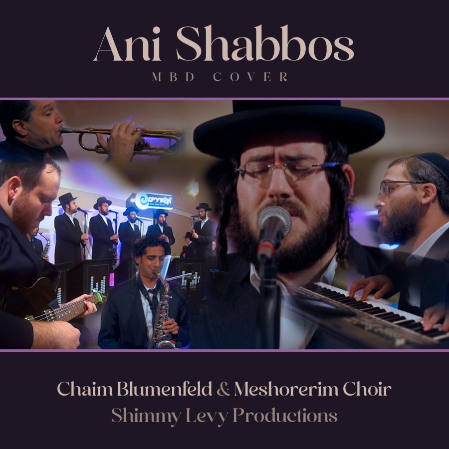 Ani Shabbos Cover Art