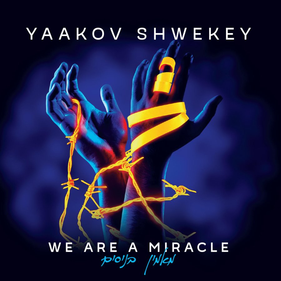 We Are a Miracle Cover Art