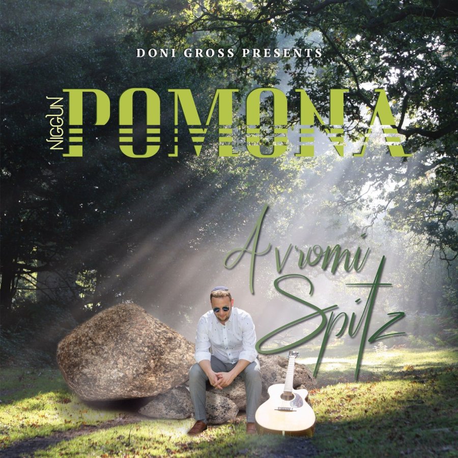 Niggun Pomona Cover Art