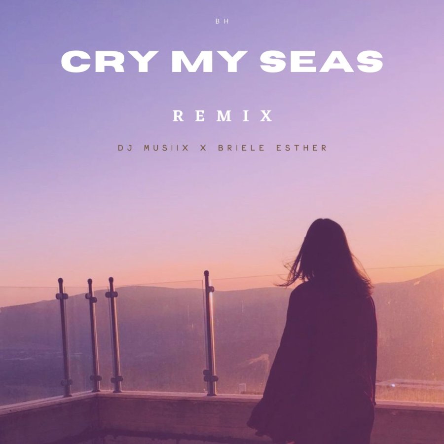 Cry My Seas Remix Cover Art