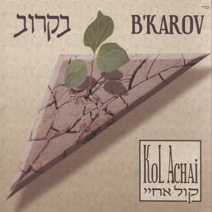 S'ei Saviv Cover Art