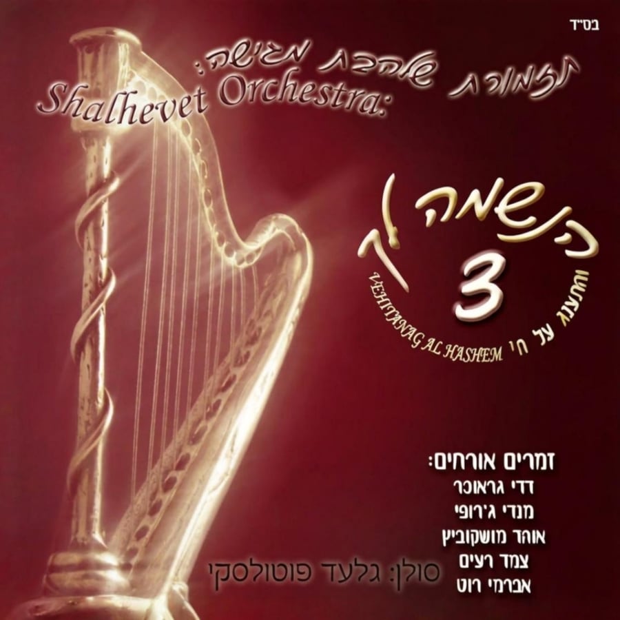 Ve'hitanag Al Hashem Cover Art
