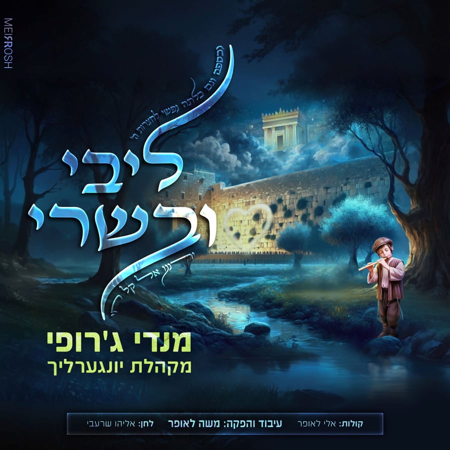 Libi U'vesari Cover Art