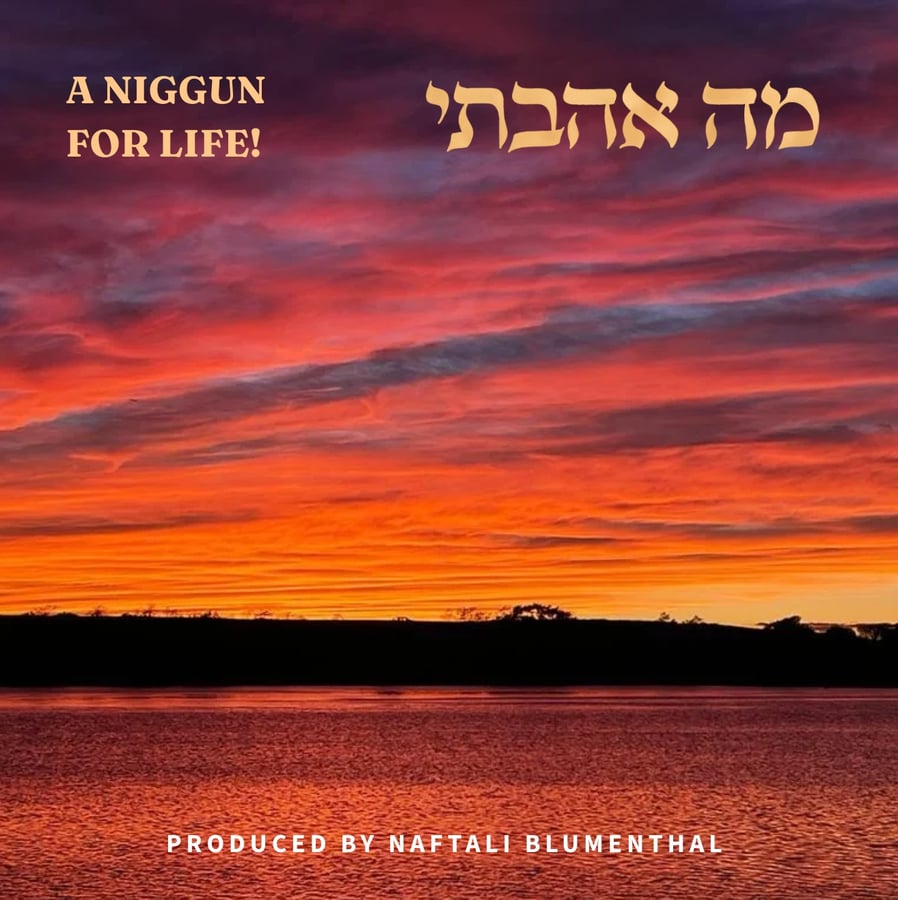 מה אהבתי Cover Art