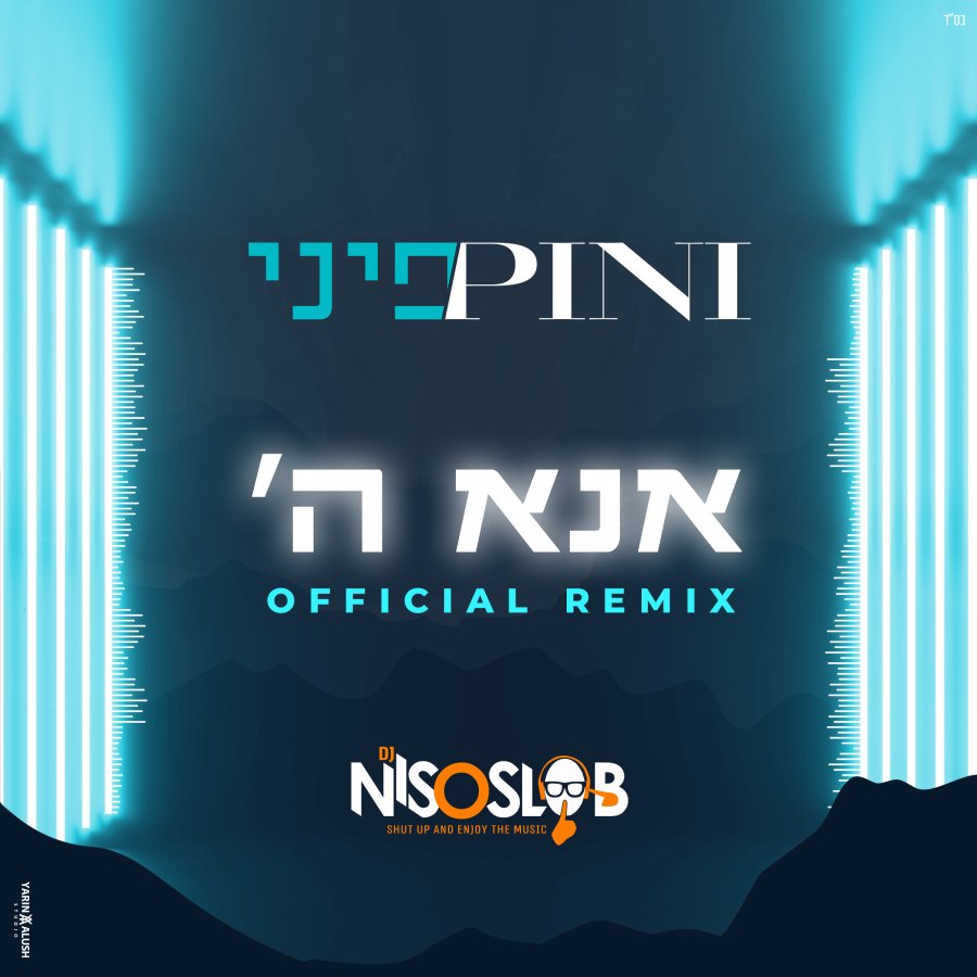 Ana Hashem DJ Niso Slob Remix Cover Art