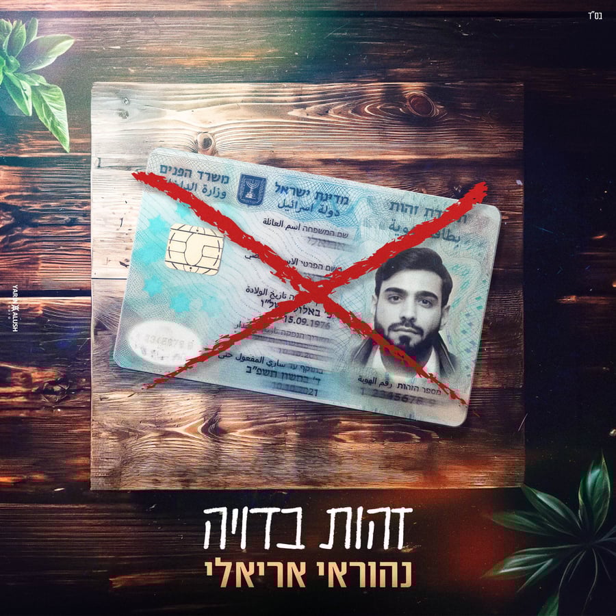 זהות בדויה Cover Art