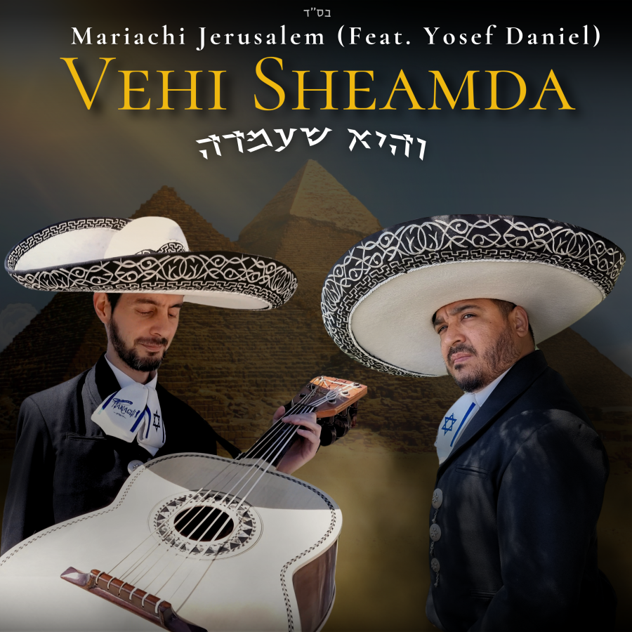 VeHi Sheamda Cover Art