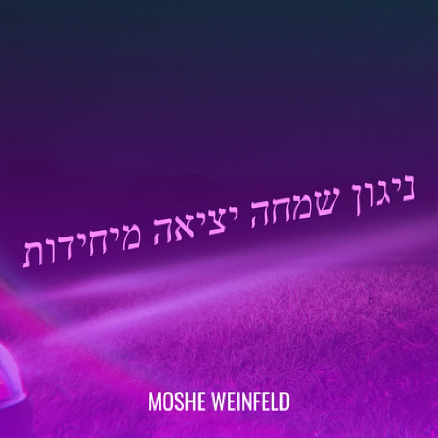 Nigun Simcha Yetzia Meyuchedes Cover Art