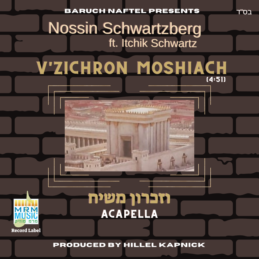 Vizichron Moshiach (Acapella) Cover Art