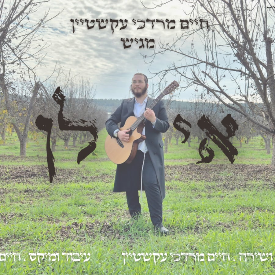 Ilan - אילן Cover Art