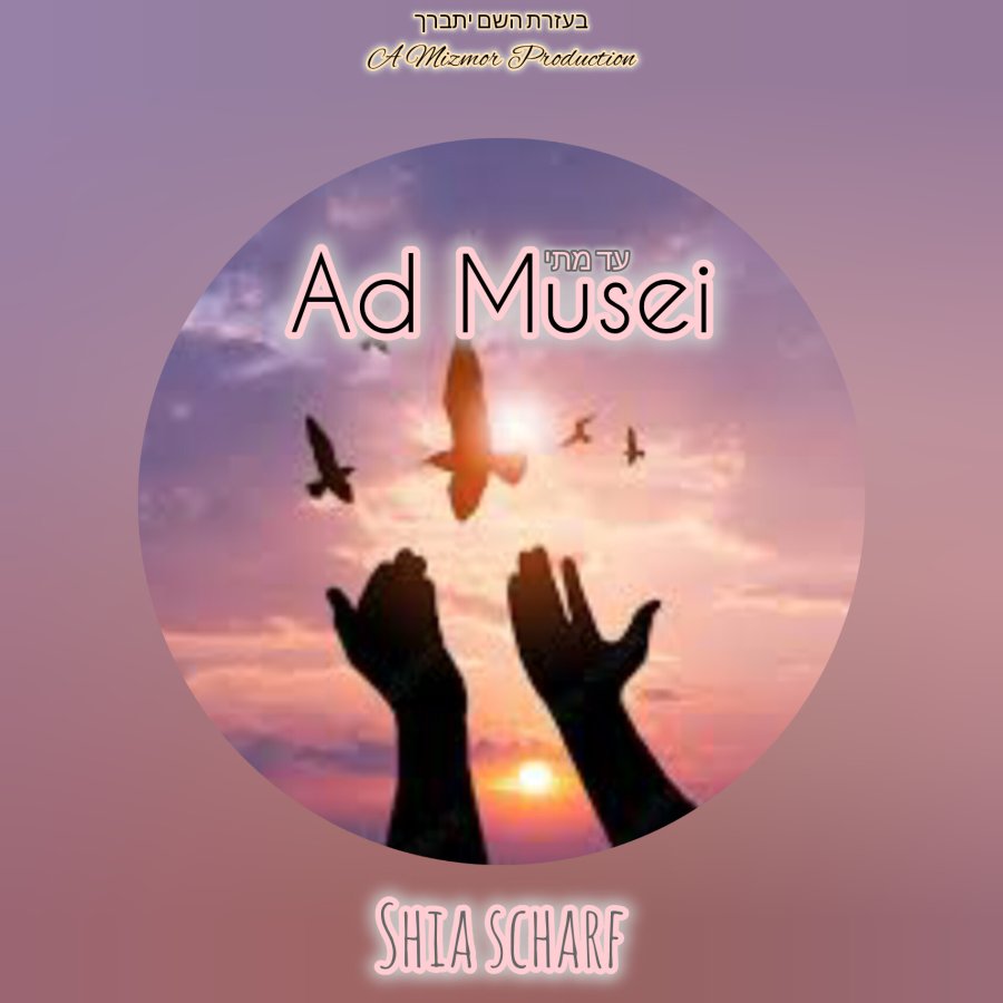 Ad Musei Cover Art