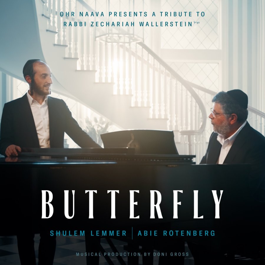 Butterfly feat. Shulem Cover Art