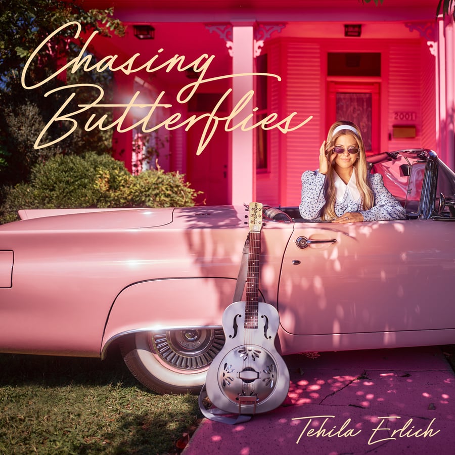 Chasing Butterflies Cover Art