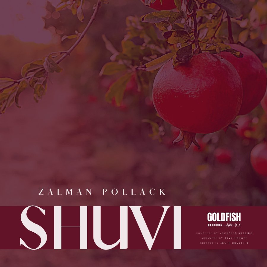 Shuvi Cover Art