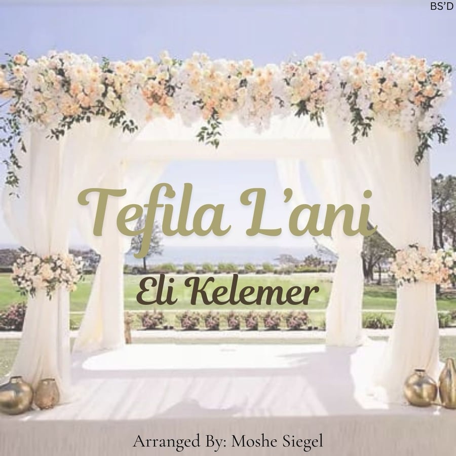 Tefila L'ani Cover Art