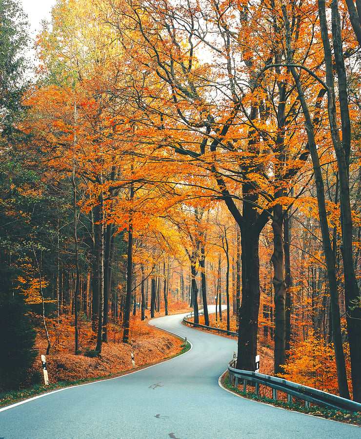 With Hashem Cover Art