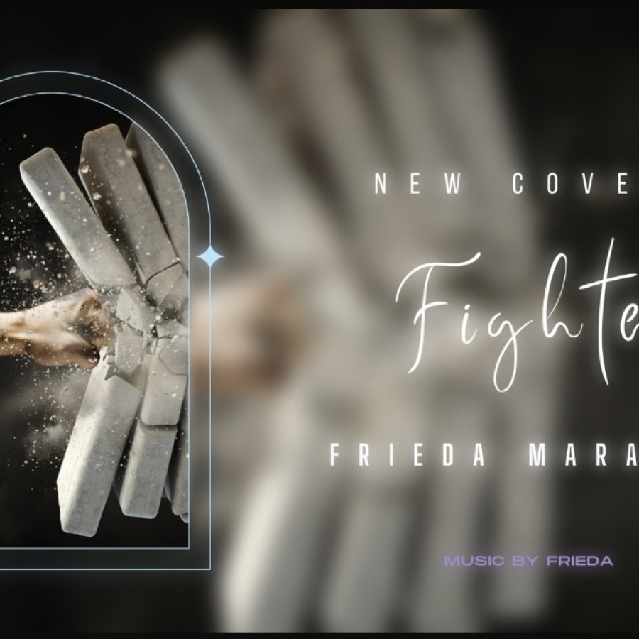 Fighter Cover Art