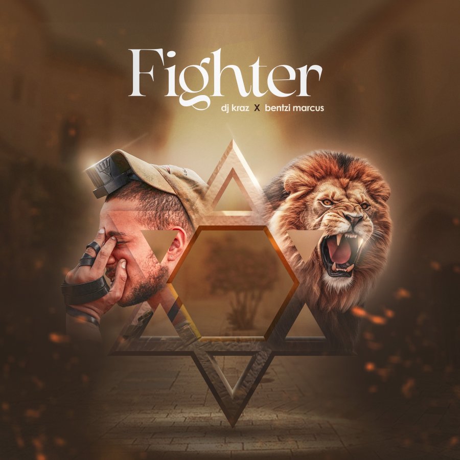 Fighter Cover Art