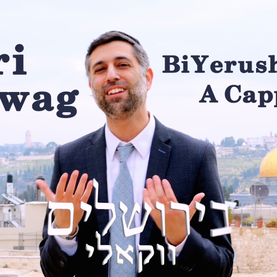 Ari Goldwag [A Cappella] BiYerushalayim