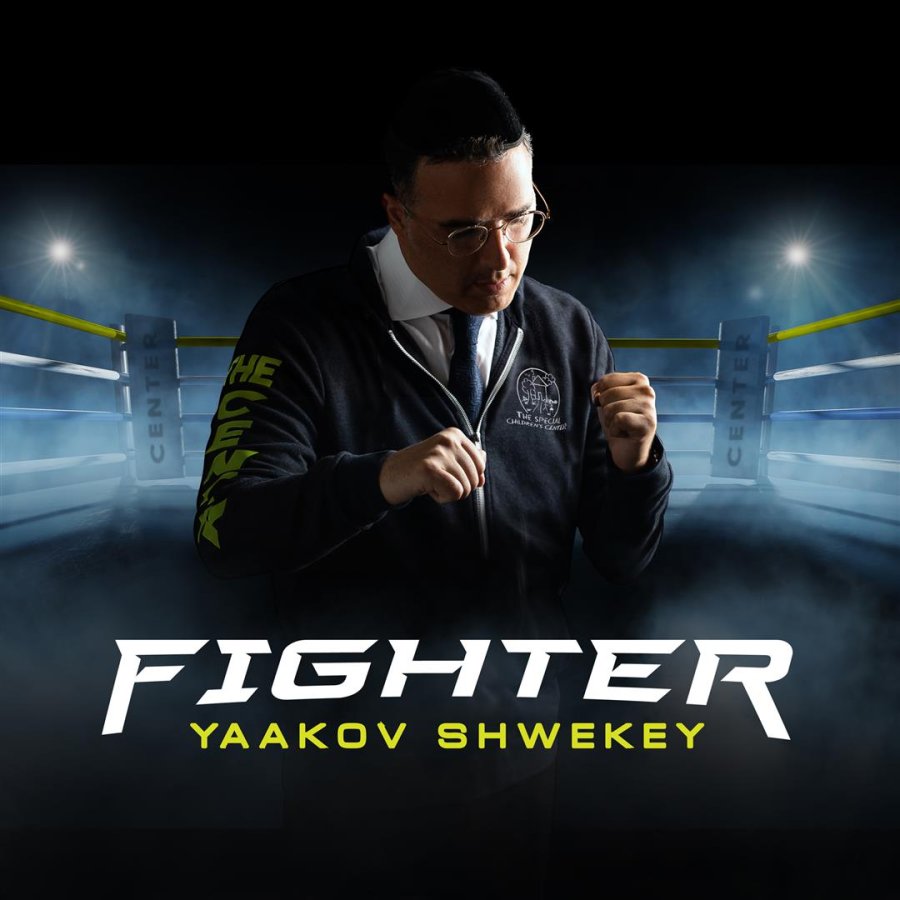 Fighter Cover Art