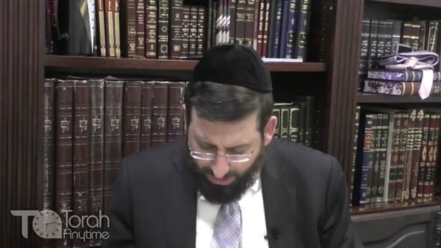 Parshas Vayakhel: Rav Cham Kanievski Uses The Targum in Divrei Hayamim To Identify The Weaver