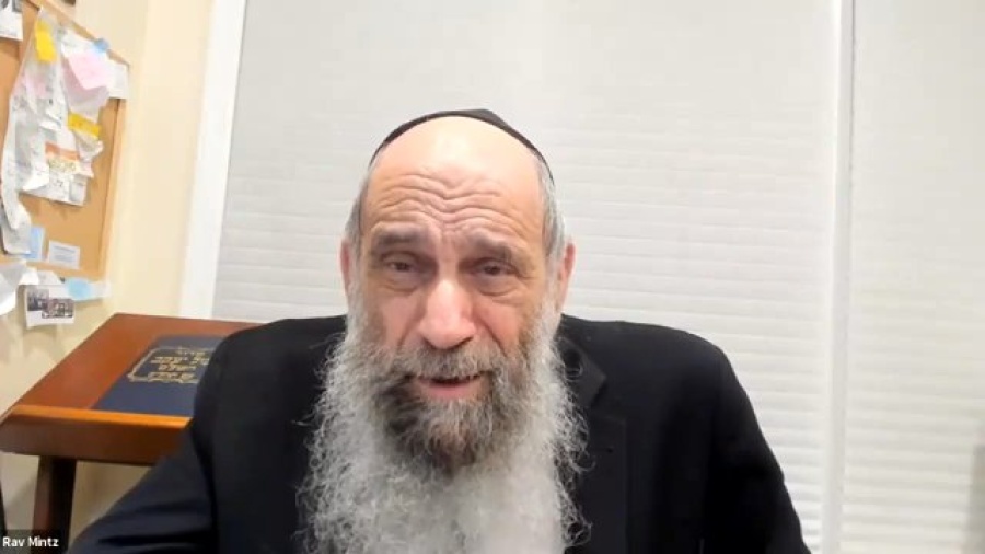 Why did the fish not die in the Great Flood? | Ask the Rabbi Live with Rabbi Chaim Mintz