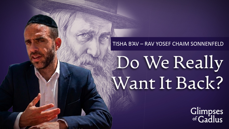 Tisha B'Av - Rav Yosef Chaim Sonnenfeld - Do We Really Want it Back?
