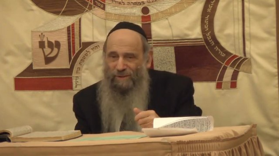 Can I Kill Spiders? - Ask the Rabbi Live with Rabbi Mintz