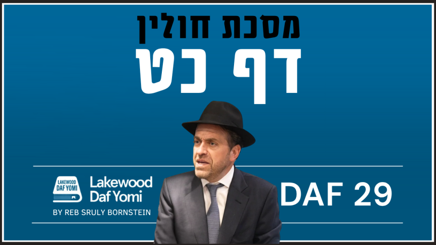 Chulin Daf 29 by Reb Sruly Bornstein