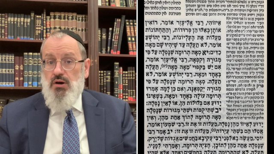 01 Zeraim 06 Terumos 4:11