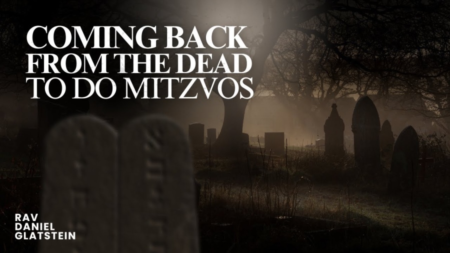 Coming Back From the Dead to Do Mitzvos {Daf Hashavua Iyun Sugya Kesuvos Daf 103}