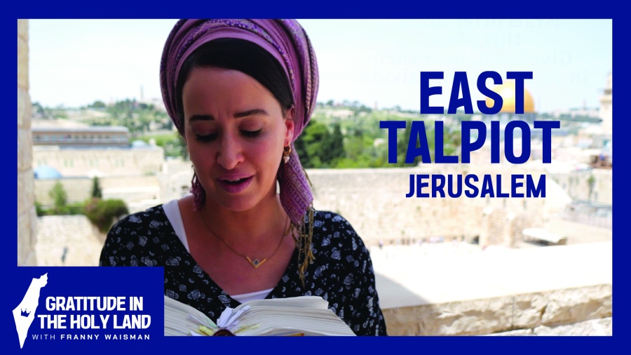 East Talpiot - תלפיות מזרח / Jerusalem - יְרוּשָׁלַיִם | Gratitude in the Holy Land [5/6]