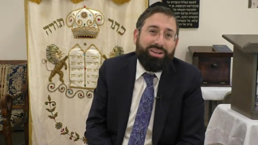 Which Mitzvah is More Important, Sukkah or Lulav? The Great Dilema of Rav Shlomo Kluger