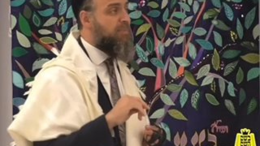 Rabbi Yehoshua Sova: Hametz Mixtures