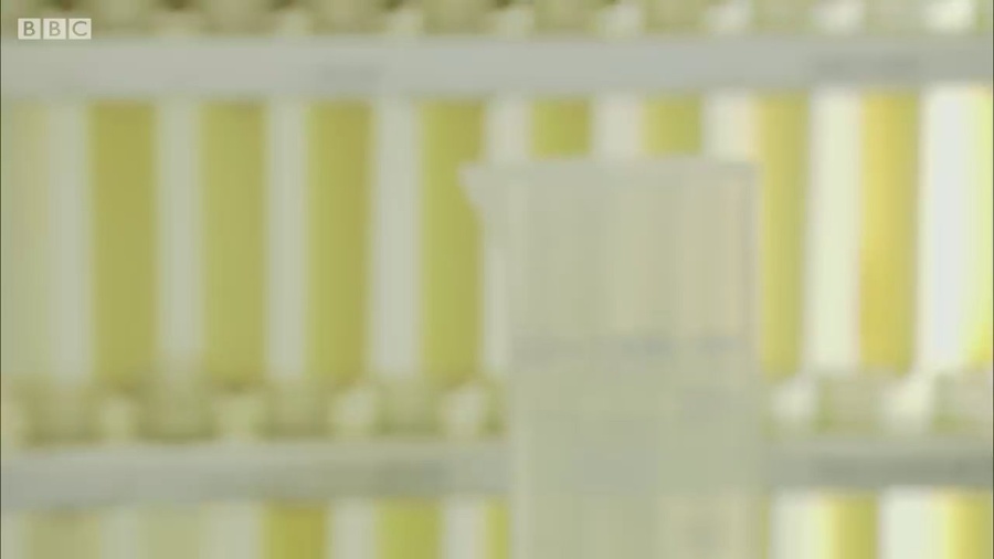 מצגת - תגובה כימית בתעשיית סוכר - Presentation - chemical reaction in the sugar industry