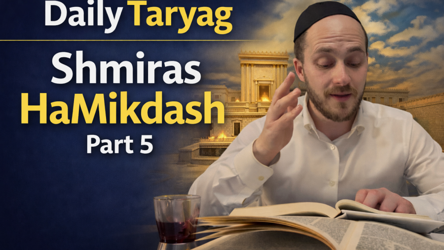 Shmiras HaMikdash part 5
