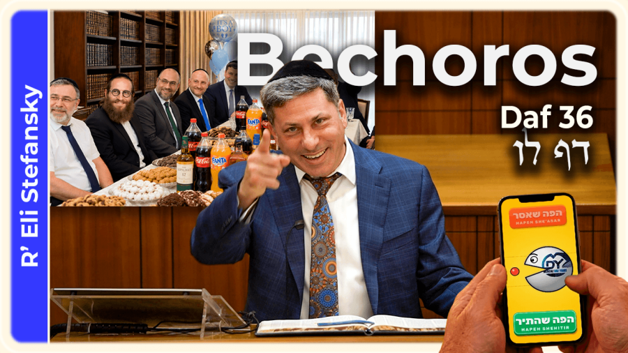 Daf Yomi Bechoros Daf 36 by R’ Eli Stefansky