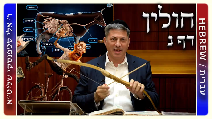 מרכז דף יומי - חולין דף נ. - ר' אלי סטפנסקי שליט"א