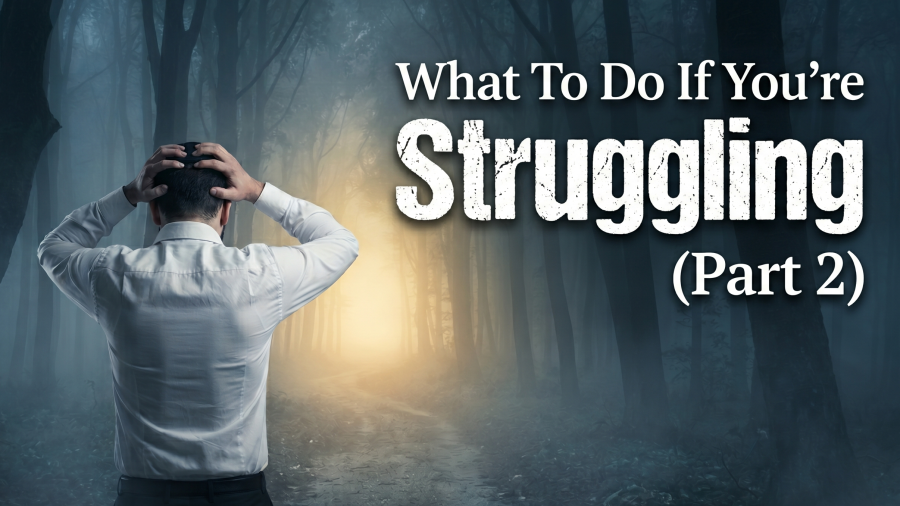 What To Do If You're Struggling (Part 2) | Questions & Clarity 026