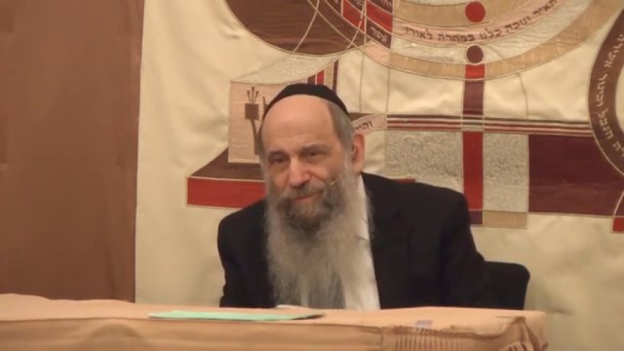 The Great Harambe Debate - Ask the Rabbi Live with Rabbi Mintz